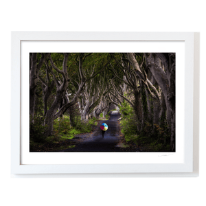 dark-hedges-rainbow-umbrella-autumn WF