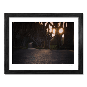 dark-hedges-sunrise-sunburst-beech-trees BF