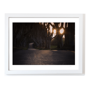 dark-hedges-sunrise-sunburst-beech-trees WF