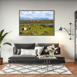derrigimlagh-connemara-sheep-twelve-bens BFW
