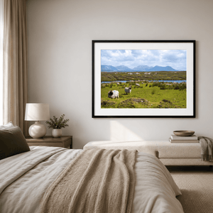 derrigimlagh-connemara-sheep-twelve-bens Pano