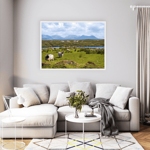 derrigimlagh-connemara-sheep-twelve-bens WFW