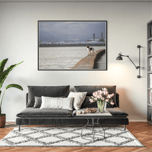 Nua Photography Print Dog on the Seawall with Dublin Port View, Dublin City Dog on Dublin Seawall with Port View Print | Nua Photography