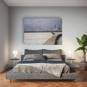 Nua Photography Print Dog on the Seawall with Dublin Port View, Dublin City Dog on Dublin Seawall with Port View Print | Nua Photography