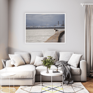 Nua Photography Print Dog on the Seawall with Dublin Port View, Dublin City Dog on Dublin Seawall with Port View Print | Nua Photography