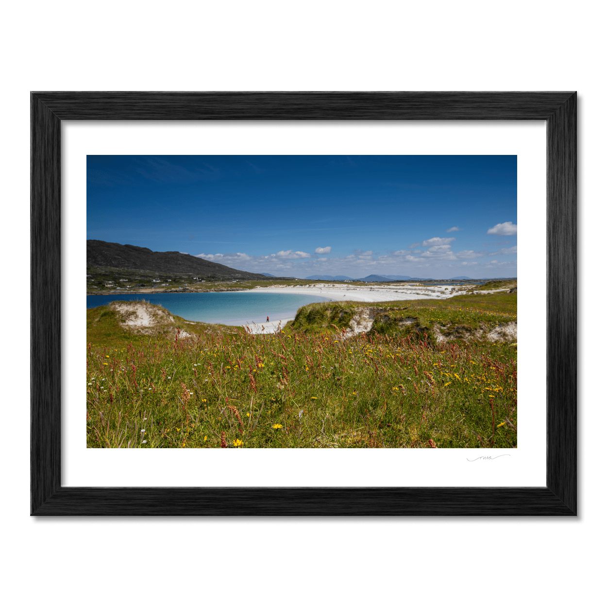 dogs-bay-beach-connemara-wildflowers PM