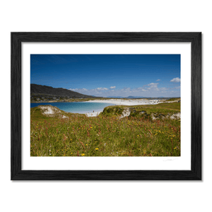 dogs-bay-beach-connemara-wildflowers BF