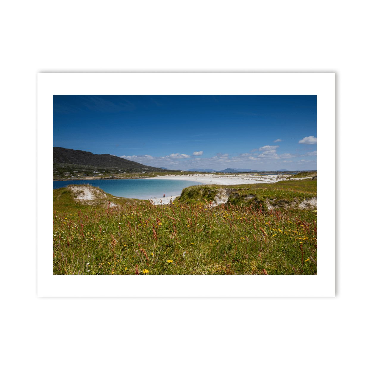 dogs-bay-beach-connemara-wildflowers PM