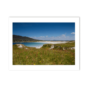 dogs-bay-beach-connemara-wildflowers PM