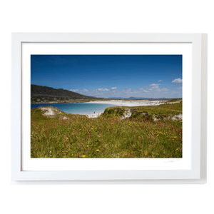 dogs-bay-beach-connemara-wildflowers WF