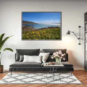 dogs-bay-connemara-summer-meadow-wildflowers BFW