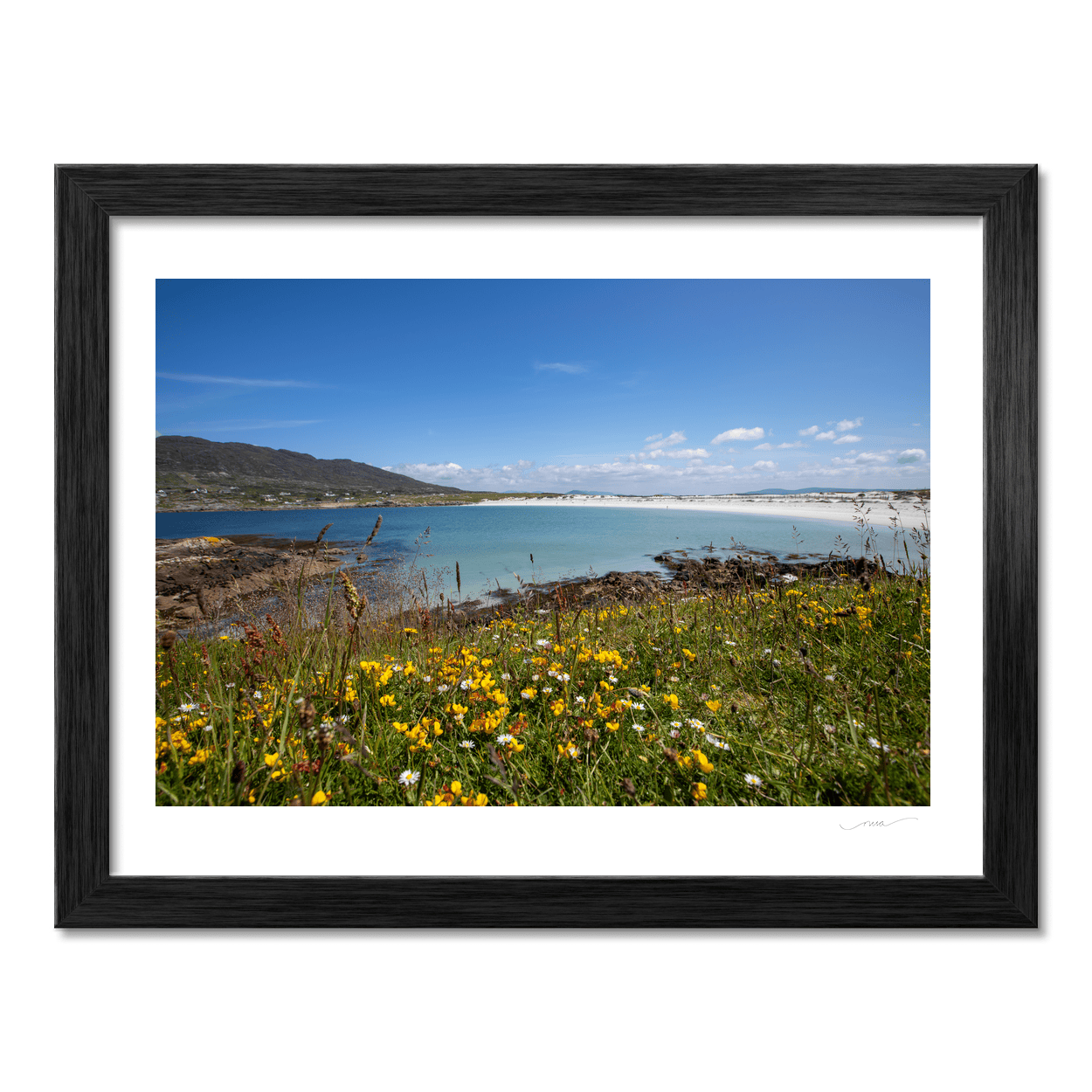 dogs-bay-connemara-summer-meadow-wildflowers PM