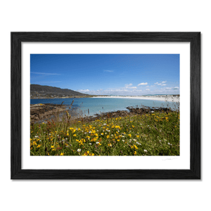 dogs-bay-connemara-summer-meadow-wildflowers BF