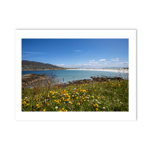 dogs-bay-connemara-summer-meadow-wildflowers PM