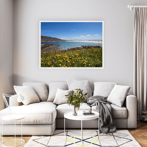 dogs-bay-connemara-summer-meadow-wildflowers WFW