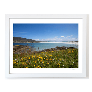 dogs-bay-connemara-summer-meadow-wildflowers WF