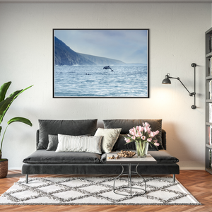 dolphins-leaping-wild-atlantic-way-cliffs BFW