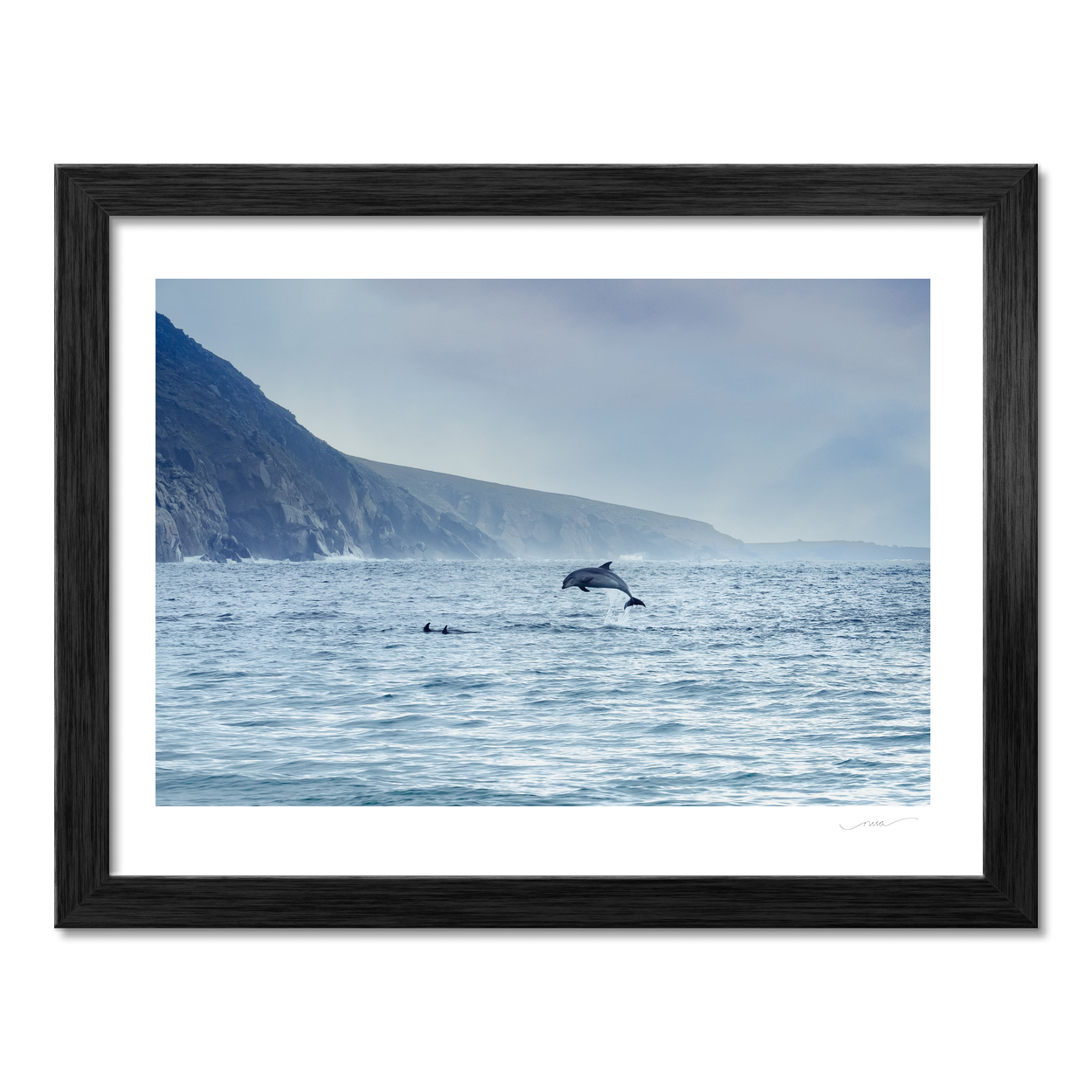 dolphins-leaping-wild-atlantic-way-cliffs PM