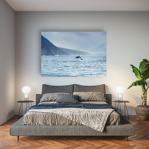 dolphins-leaping-wild-atlantic-way-cliffs Pano