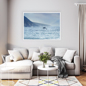 dolphins-leaping-wild-atlantic-way-cliffs WFW