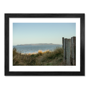 donabate-sand-dunes-coastal-view BF