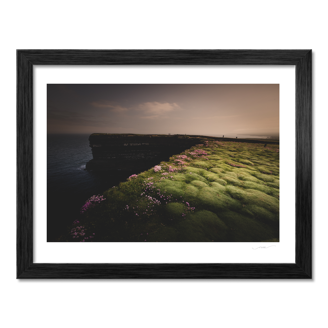 downpatrick-head-sea-thrift-cliffs-moody PM