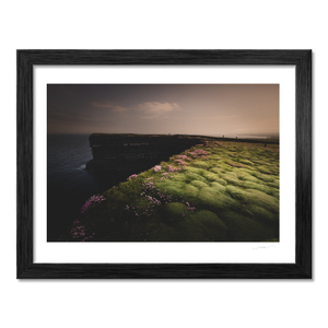 downpatrick-head-sea-thrift-cliffs-moody BF