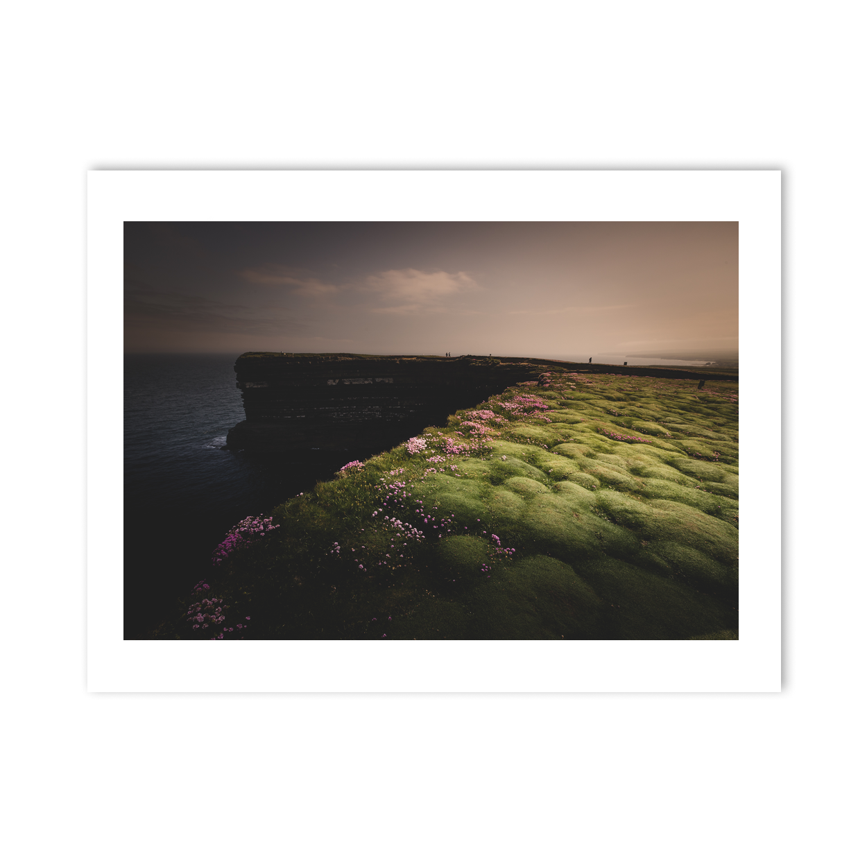 downpatrick-head-sea-thrift-cliffs-moody PM