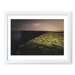 downpatrick-head-sea-thrift-cliffs-moody WF