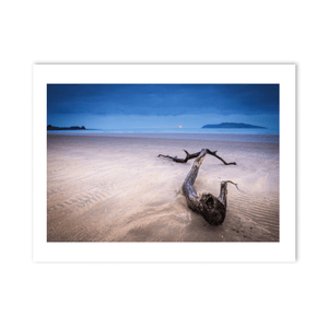Nua Photography Print Driftwood on South Beach Rush at Twilight, Co. Dublin Driftwood South Beach Rush Twilight Print | Nua Photography