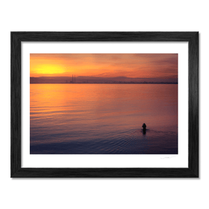 Nua Photography Print Dublin Bay Sunset with Swimmer and Poolbeg Chimneys, Howth Co. Dublin Dublin Bay Sunset Swimmer Poolbeg | Nua Photography