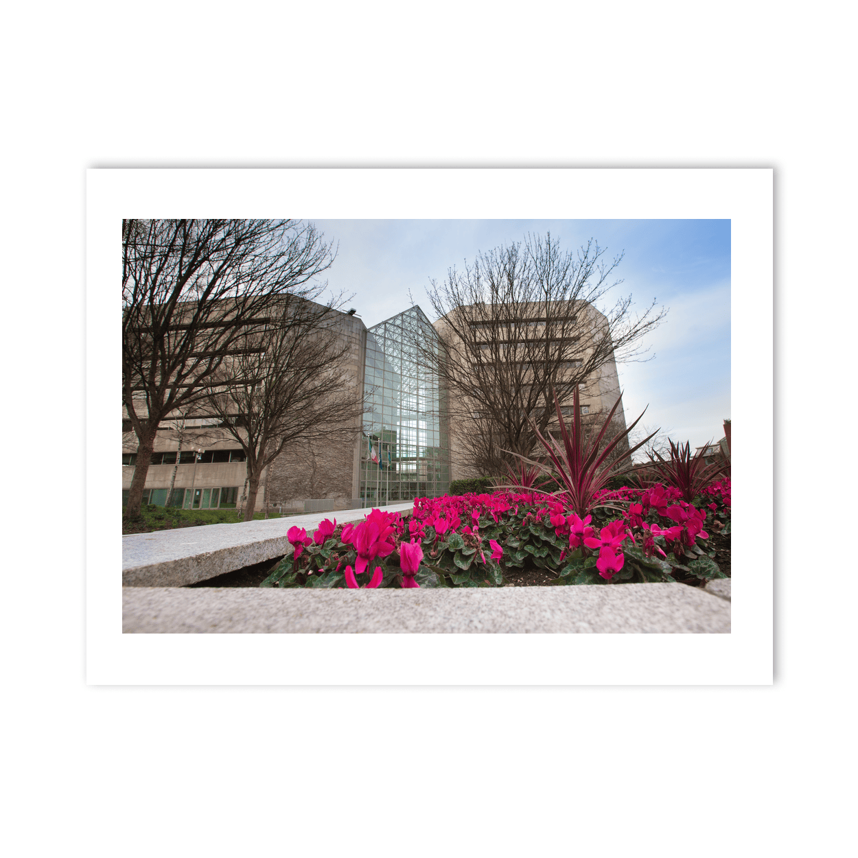 dublin-civic-offices-wood-quay-winter PM