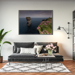 dun-briste-sea-stack-pink-thrift-cliffs BFW