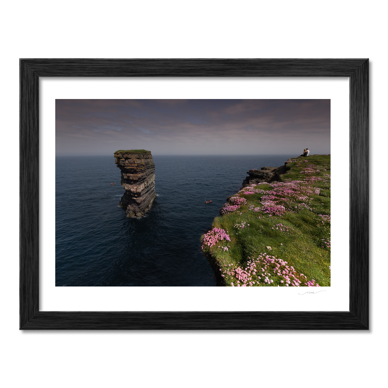 dun-briste-sea-stack-pink-thrift-cliffs PM