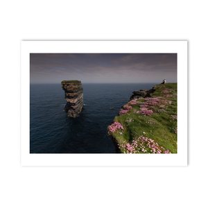 dun-briste-sea-stack-pink-thrift-cliffs PM