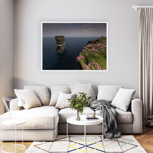 dun-briste-sea-stack-pink-thrift-cliffs WFW