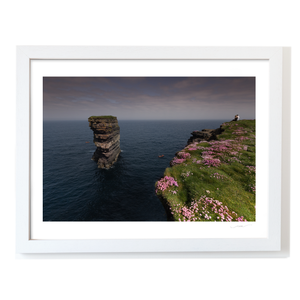 dun-briste-sea-stack-pink-thrift-cliffs WF