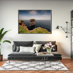 dun-briste-sea-stack-spring-wildflowers-2 BFW