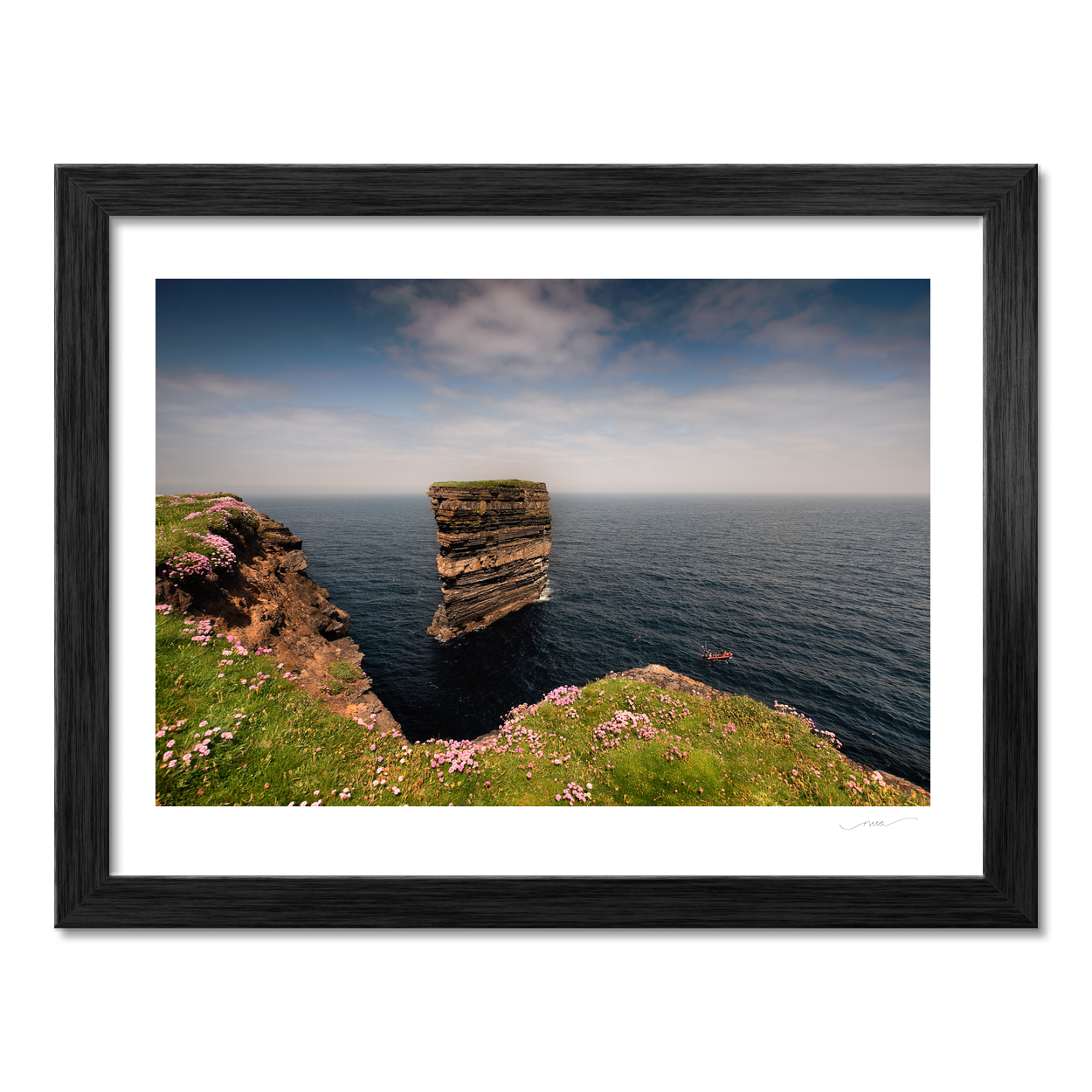 dun-briste-sea-stack-spring-wildflowers-2 PM