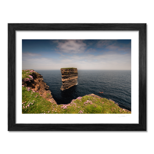 dun-briste-sea-stack-spring-wildflowers-2 BF