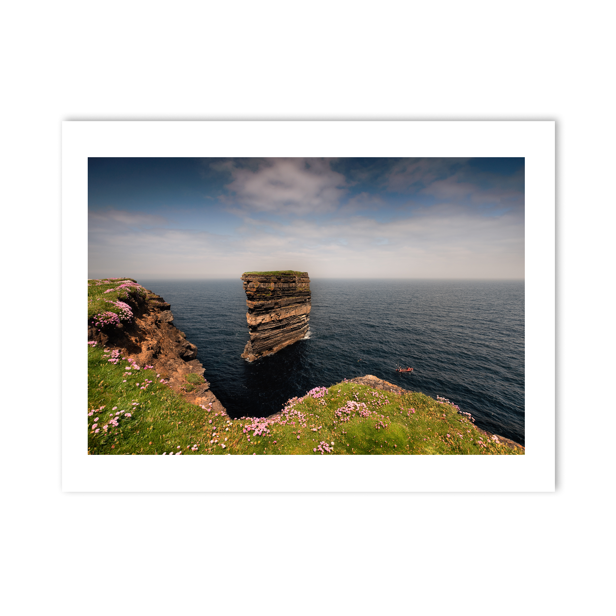dun-briste-sea-stack-spring-wildflowers-2 PM