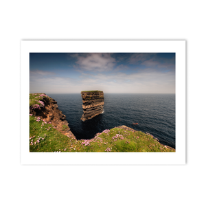 dun-briste-sea-stack-spring-wildflowers-2 PM