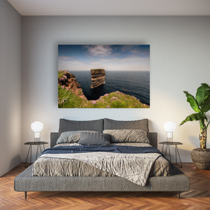 dun-briste-sea-stack-spring-wildflowers-2 Pano