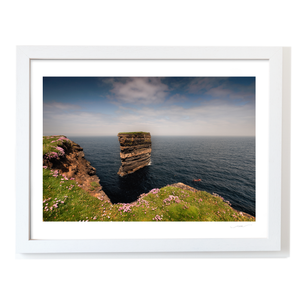 dun-briste-sea-stack-spring-wildflowers-2 WF