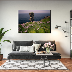 dun-briste-sea-stack-spring-wildflowers-3 BFW