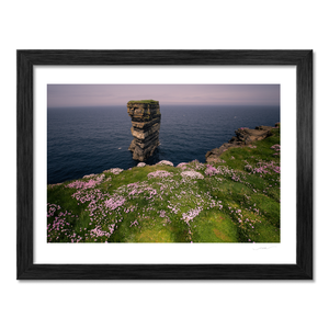 dun-briste-sea-stack-spring-wildflowers-3 BF