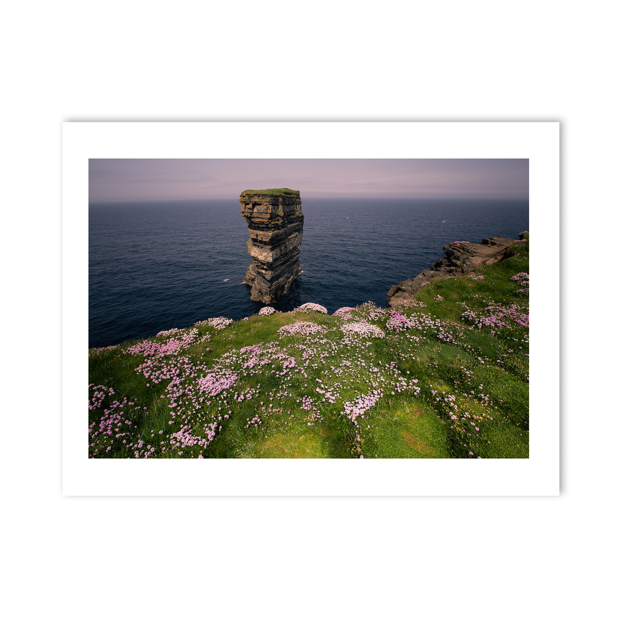 dun-briste-sea-stack-spring-wildflowers-3 PM