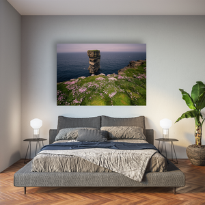 dun-briste-sea-stack-spring-wildflowers-3 Pano