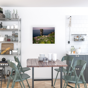 dun-briste-sea-stack-spring-wildflowers-3 WFA3