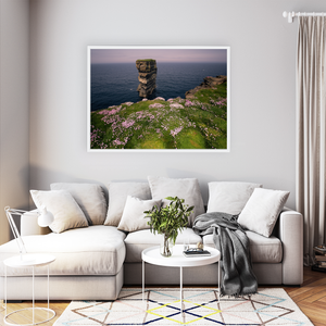 dun-briste-sea-stack-spring-wildflowers-3 WFW